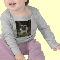 Little Bulldog t-shirts
