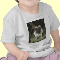 Little Bulldog t-shirts
