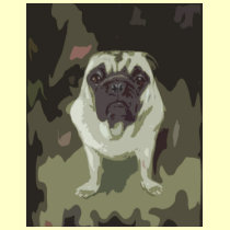 Little Bulldog t-shirts