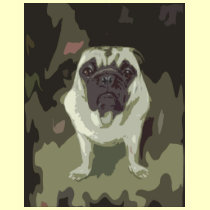Little Bulldog t-shirts