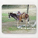Little burro - big saddle mouse pad