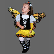 Little Butterfly Girl t-shirts