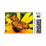 Little Butterfly ~ stamp