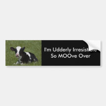 Little Calf Bumper Stickers