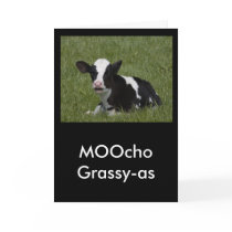 Little Calf Greeting Card