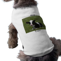 Little Calf Pet Shirt