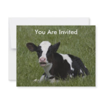 Little Calf invitations by GAZoomIn Little Calf invitations