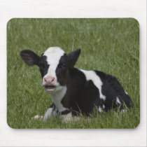 Little Calf Mouse Pads