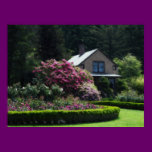 Little Caretakers House posters