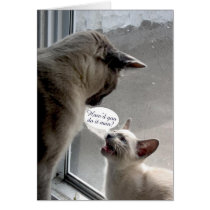 little cat asks big cat greeting card