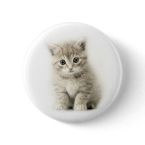 LITTLE CAT buttons