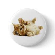 LITTLE CAT buttons
