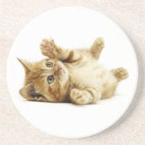 LITTLE CAT coasters