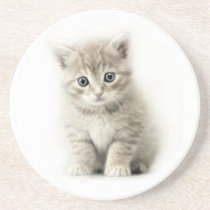 LITTLE CAT coasters