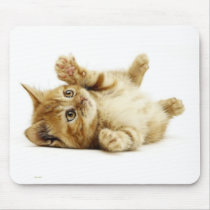 LITTLE CAT mousepads