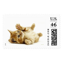 LITTLE CAT stamps
