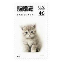 LITTLE CAT stamps