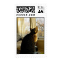 LITTLE CAT STAMP stamp