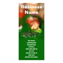 Little Chicken, Business Name, Tell viewers som... rack cards