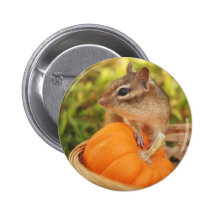 Little Chipmunk with Pumpkin Button