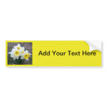 Little Daffodil... Customize it! Bumper Sticker