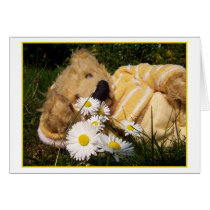 little Daisy Bear cards