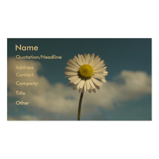 Little Daisy Business Card Templates (front side)