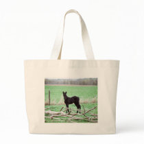 Little Dark Colt bags by knotth Little Dark Colt bags