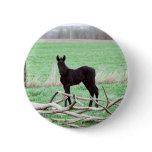 Little Dark Colt Pin