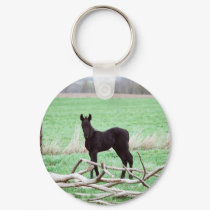Little Dark Colt keychains by knotth Little Dark Colt keychains