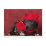 Little Devil Post Card