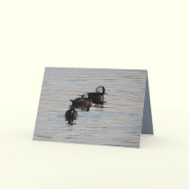 Little Divers cards