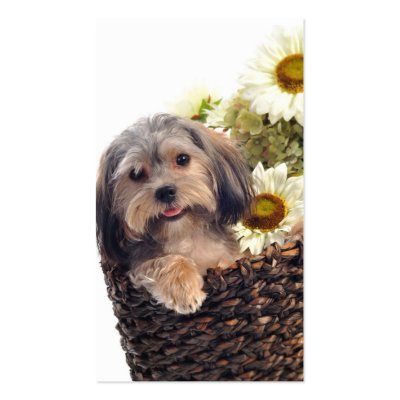 little_dog_in_basket_with_flowers_business_card-p240568812985812254bfz7u_400.jpg