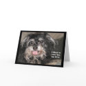 "Little Dog Joey: 'I want to lick you all over'" cards
