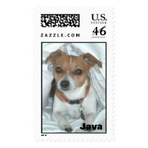 Little dog postage