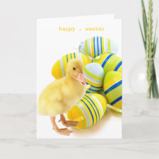 little duck easter card card