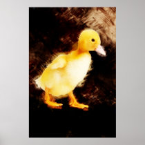 Little Duckling! Posters