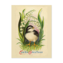 Little Easter Bird Vintage Postcard