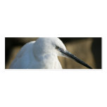 Little Egret Business Card