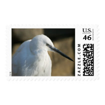 Little Egret stamps