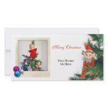 Little Elf Christmas with ornaments photo cards