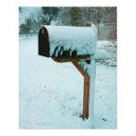Little Elm Texas snow mailbox poster posters