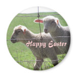 Little Ewes Easter Magnet