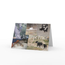 Little Farm Christmas Card