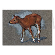 Little Fawn, Deer: Pastel Art Card