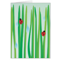 Little Fellas... cards