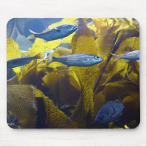 Little Fishes Wishes mousepads