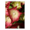 little flower cards by heysje little flower cards