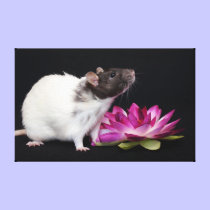 Little Flower -Rat print canvas prints