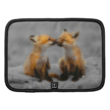 Little Fox Love Planners